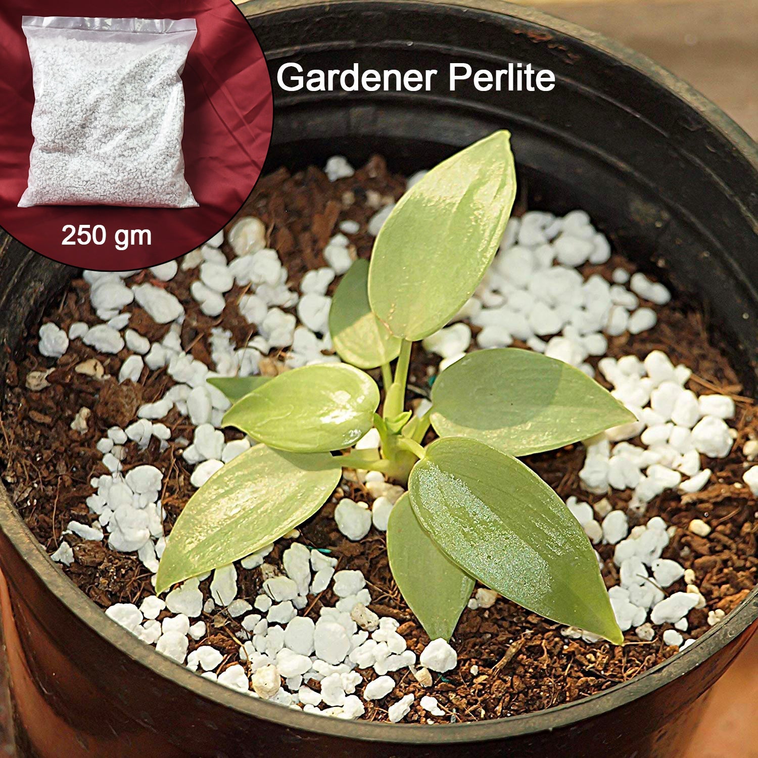 AeroLite Garden Booster AeroLite Garden Booster